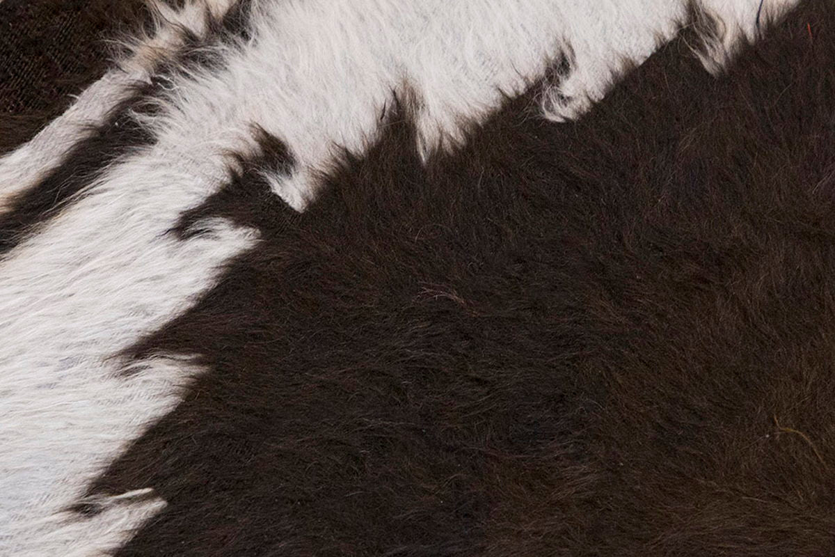 3x4, 2'7 x 3'10 ft, Siirt Blanket Kilim Rug, Siirt Blanket