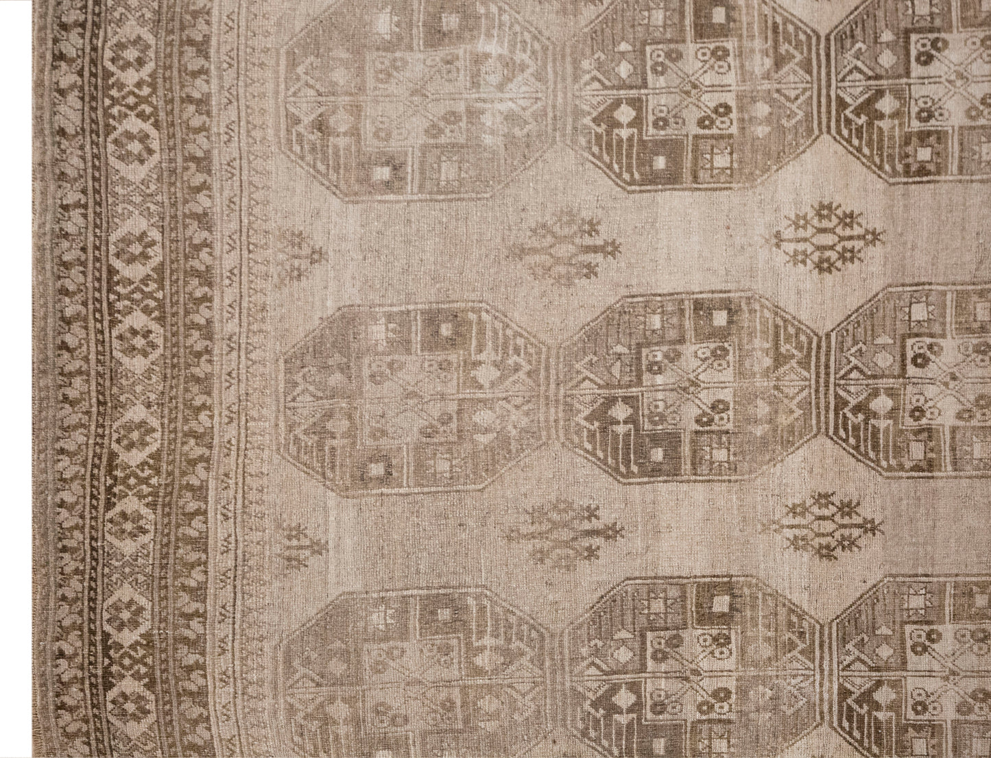 Ersarı Rug 235x285 cm (7.7x9.3 ft)