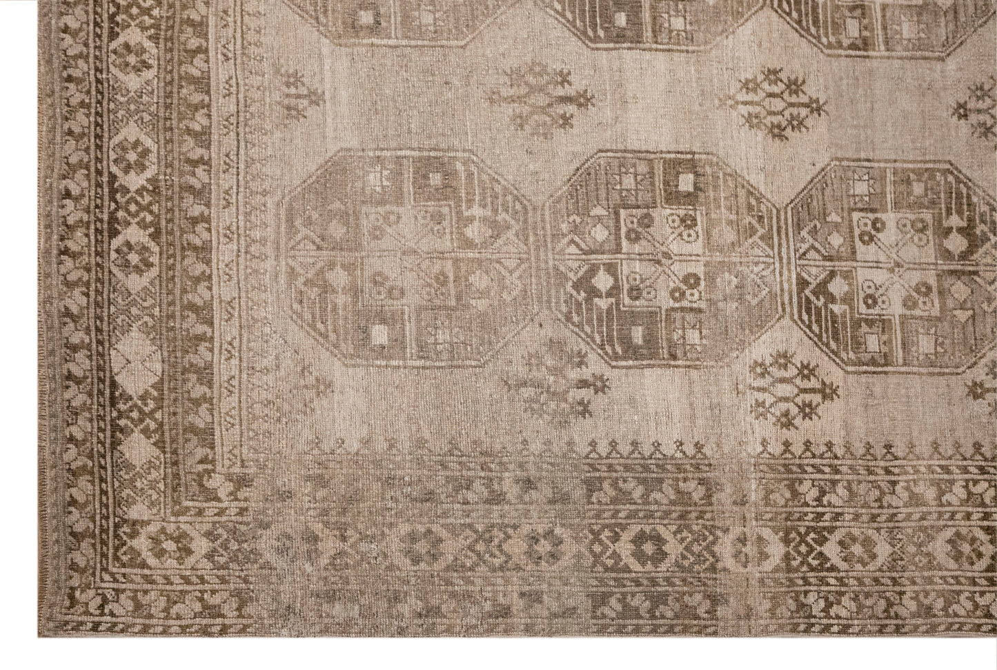 Ersarı Rug 235x285 cm (7.7x9.3 ft)