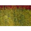 Vintage Tulu Rug, 4'5 x 5 feet / 134 x 150 cm